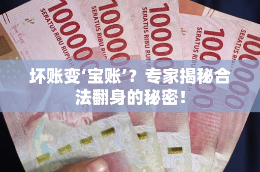 北京坏账变‘宝账’？专家揭秘合法翻身的秘密！