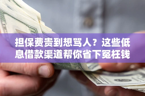 北京担保费贵到想骂人？这些低息借款渠道帮你省下冤枉钱