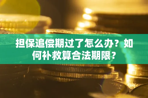 北京担保追偿期过了怎么办？如何补救算合法期限？