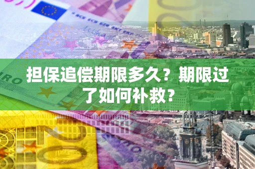 北京担保追偿期限多久？期限过了如何补救？