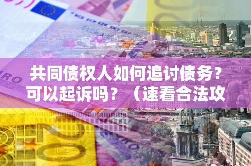 北京共同债权人如何追讨债务？可以起诉吗？（速看合法攻略）